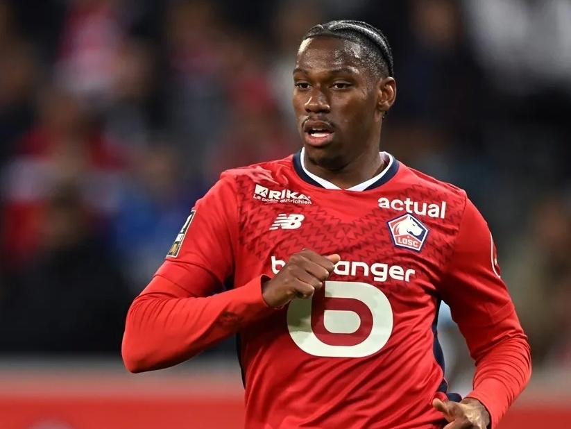 单的道歉 单的道歉